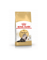 Karma Royal Canin Persian 30 (0 40 kg ) - nr 4