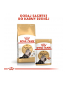 Karma Royal Canin Persian 30 (0 40 kg ) - nr 5