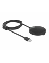 DELOCK multidirectional microphone USB 2.0 - nr 1