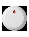Google Nest Mini Grigio Chiaro - nr 34
