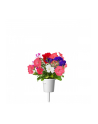 Kapsułki roślinne Click and Grow Plant Pods Petunia 3-Pack SGR27x3 - nr 3