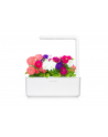 Kapsułki roślinne Click and Grow Plant Pods Petunia 3-Pack SGR27x3 - nr 4