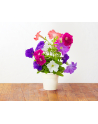 Kapsułki roślinne Click and Grow Plant Pods Petunia 3-Pack SGR27x3 - nr 6