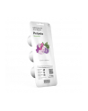 Kapsułki roślinne Click and Grow Plant Pods Petunia 3-Pack SGR27x3 - nr 9