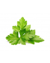 Kapsułki roślinne Click and Grow Plant Pods Kolendra 3-Pack SGR45x3 - nr 10