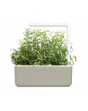 Kapsułki roślinne Click and Grow Plant Pods Rozmaryn 3-Pack SGR51x3 - nr 10