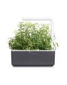 Kapsułki roślinne Click and Grow Plant Pods Rozmaryn 3-Pack SGR51x3 - nr 11