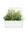 Kapsułki roślinne Click and Grow Plant Pods Rozmaryn 3-Pack SGR51x3 - nr 12