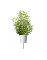 Kapsułki roślinne Click and Grow Plant Pods Rozmaryn 3-Pack SGR51x3 - nr 9