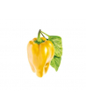 Kapsułki roślinne Click and Grow Plant Pods Słodka żółta papryka 3-Pack SGR53X3 - nr 13