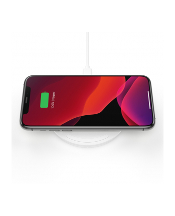 belkin Ładowarka bezprzewodowa 10W Wireless Charging Pad (no AC) Biała