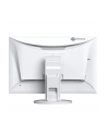 EIZO EV2495-WT - 24 - LED (white, WUXGA, HDMI, USB-C) - nr 79