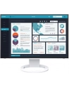 EIZO EV2495-WT - 24 - LED (white, WUXGA, HDMI, USB-C) - nr 90