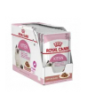 Royal Canin Cat Kitten Food Jelly Pouch 12 x 85g - nr 6