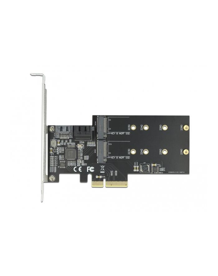 DeLOCK PCIe 3P SATA + M.2 KeyB x4 LP 90499 główny
