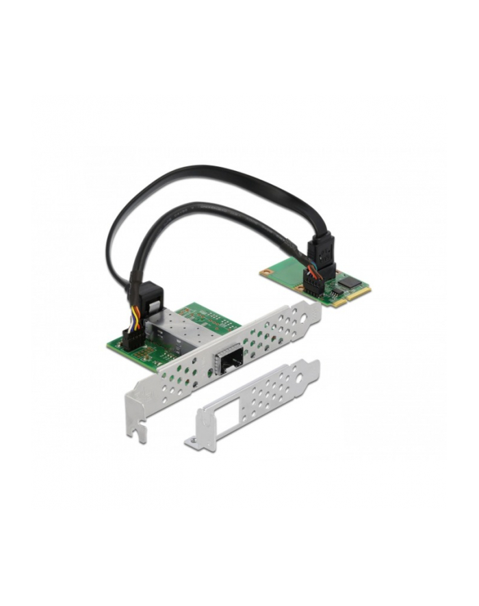 DeLOCK 95267 interface cards/adapter Internal, Network adapter główny