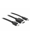 DeLOCK 4K HDMI adapter cable 1.8m - 85830 USB-C, HDMI or mini DisplayPort - nr 3
