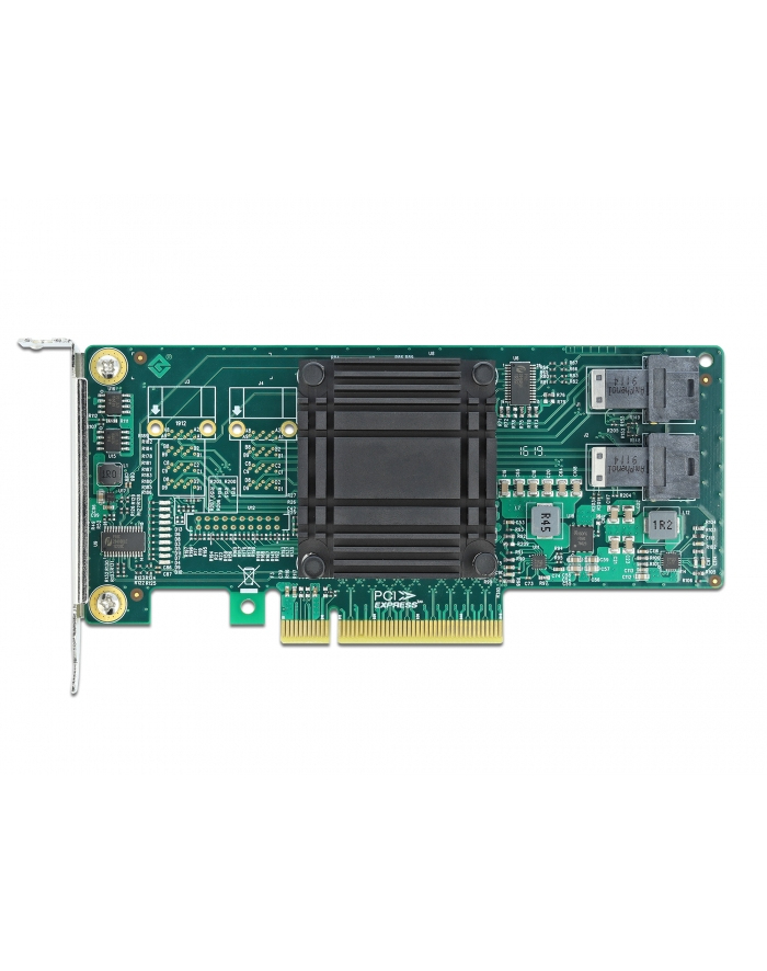 DeLOCK PCIe x8 card> 2x SFF-8643 NVMe LP główny