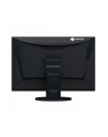 EIZO EV2495-BK - 24 - LED (black, WUXGA, HDMI, USB-C) - nr 83