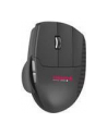 CHERRY UNIMOUSE, mouse (black) - nr 19