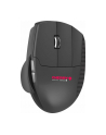 CHERRY UNIMOUSE, mouse (black) - nr 1