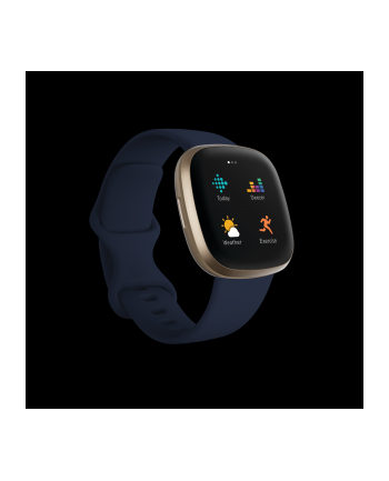 Fitbit Versa 3 midnight / soft gold alu