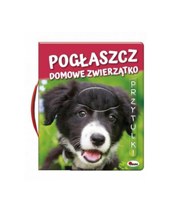 morex Książka Pogłaszcz domowe zwierzątko AWM