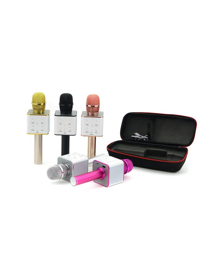 adar Mikrofon z głośnikiem i wejściem USB w etui 530966 główny