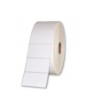 Zebra Z-ULTIMATE 3000T 12szt (880249-031D) - nr 11