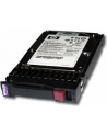 HP SPS 300GB (507284-001) - nr 7