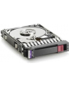 HP SPS 300GB (507284-001) - nr 10