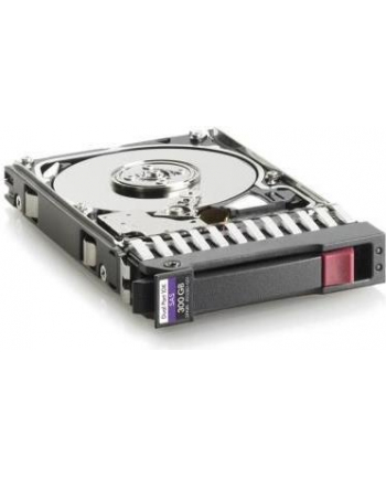 HP SPS 300GB (507284-001)