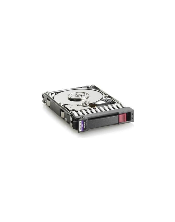 HP SPS 300GB (507284-001) główny