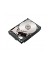 IBM 300Gb HDD (FRU81Y9671) - nr 1