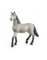 Schleich 13924 Hiszpański młody koń Horse Club - nr 1