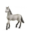 Schleich 13924 Hiszpański młody koń Horse Club - nr 5