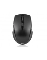 TRACER Deal Black RF Nano Mouse Wireless - nr 13