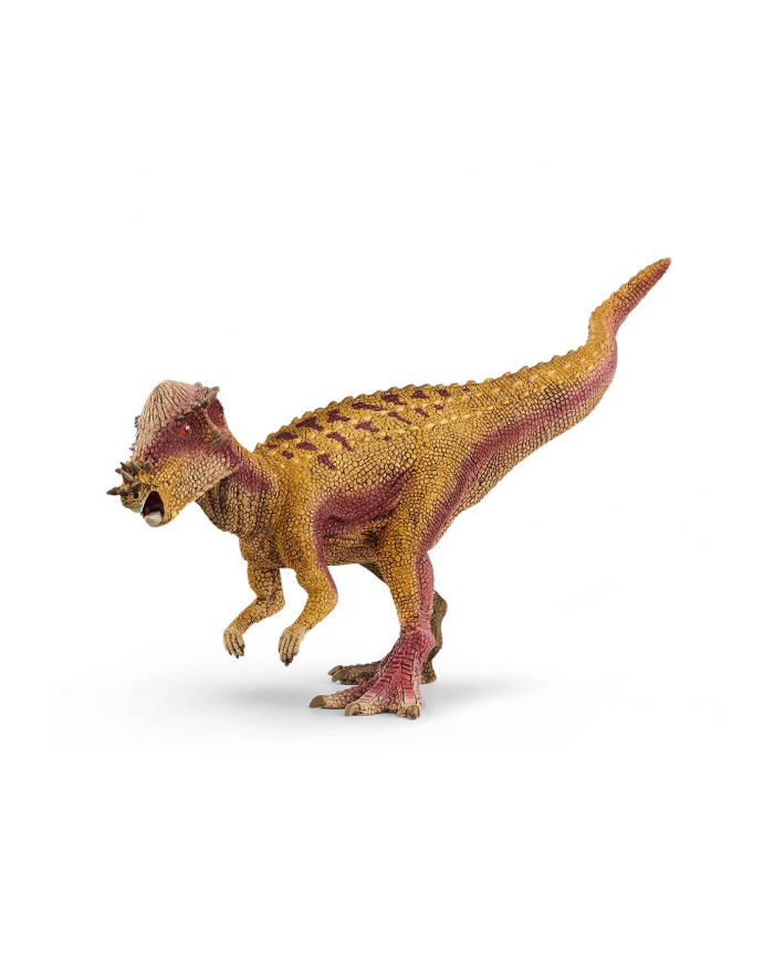 Schleich 15024 Pachycephalosaurus główny