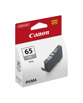 CANON CLI-65 GY EUR/OCN Ink Cartridge