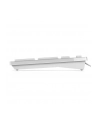 DELL Keyboard : US-Euro (Qwerty) Dell KB216 Quietkey USB  White - nr 14