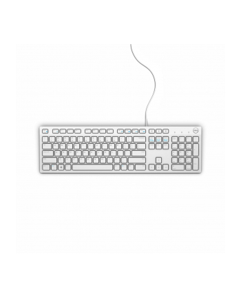 DELL Keyboard : US-Euro (Qwerty) Dell KB216 Quietkey USB  White nr 1