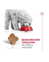 royal canin SHN Mini Adult +8 2 kg - nr 10