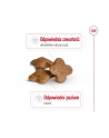 royal canin SHN Mini Adult +8 2 kg - nr 11