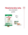 royal canin SHN Mini Adult +8 2 kg - nr 12