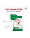 royal canin SHN Mini Adult +8 2 kg - nr 6