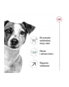 royal canin SHN Mini Adult +8 2 kg - nr 9