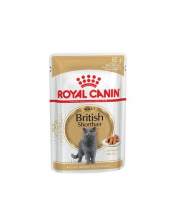 ROYAL CANIN British Shorthair pakiet 12x85g