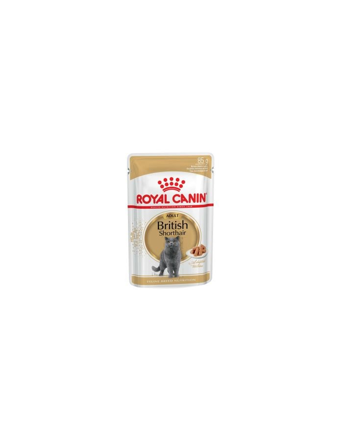 ROYAL CANIN British Shorthair pakiet 12x85g główny
