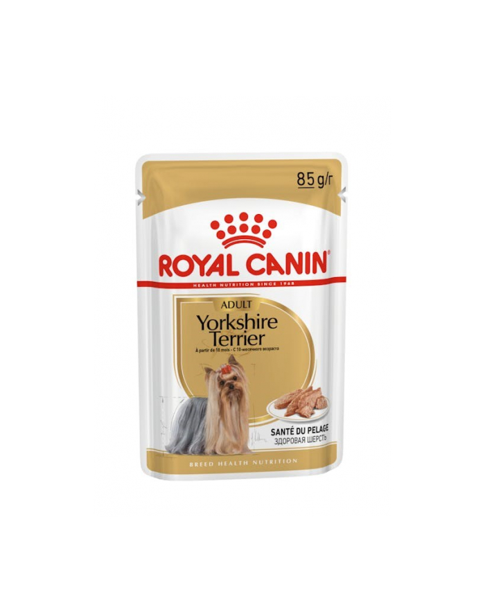 Karma Royal Canin BHN Yorkshire 12x85 g główny