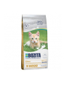 BOZITA - Kitten Grain free Chicken  2 kg - nr 1